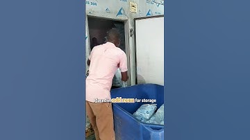 Koller ice cube machine customer case, showing you how ice factoy operate.  #icemachinesupplier