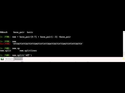 using ipython and string.split method to parse DNA
