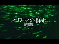 【水中映像】夜の尾鷲湾で水中集魚灯に集まるイワシの群れを撮影しました