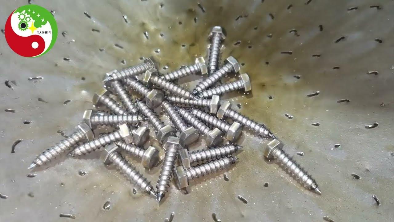 How to Make DIN571 SS Hexagon Head Lag Bolt? Selftapping Lag Bolt