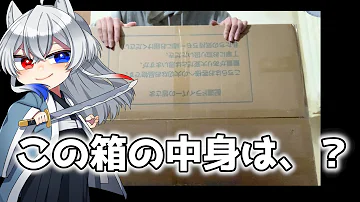 からぴち実写