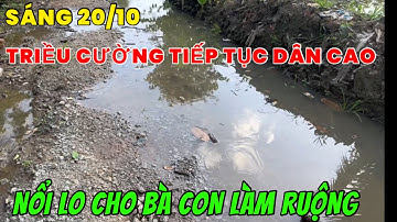 Sáng 20/10-2025 nước triều cường chuẩn bị dân lên dữ tợn nữa rồi BD84Vlog