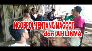 NGOBROL MAGGOT Bareng Pakarnya - MAS ROHID