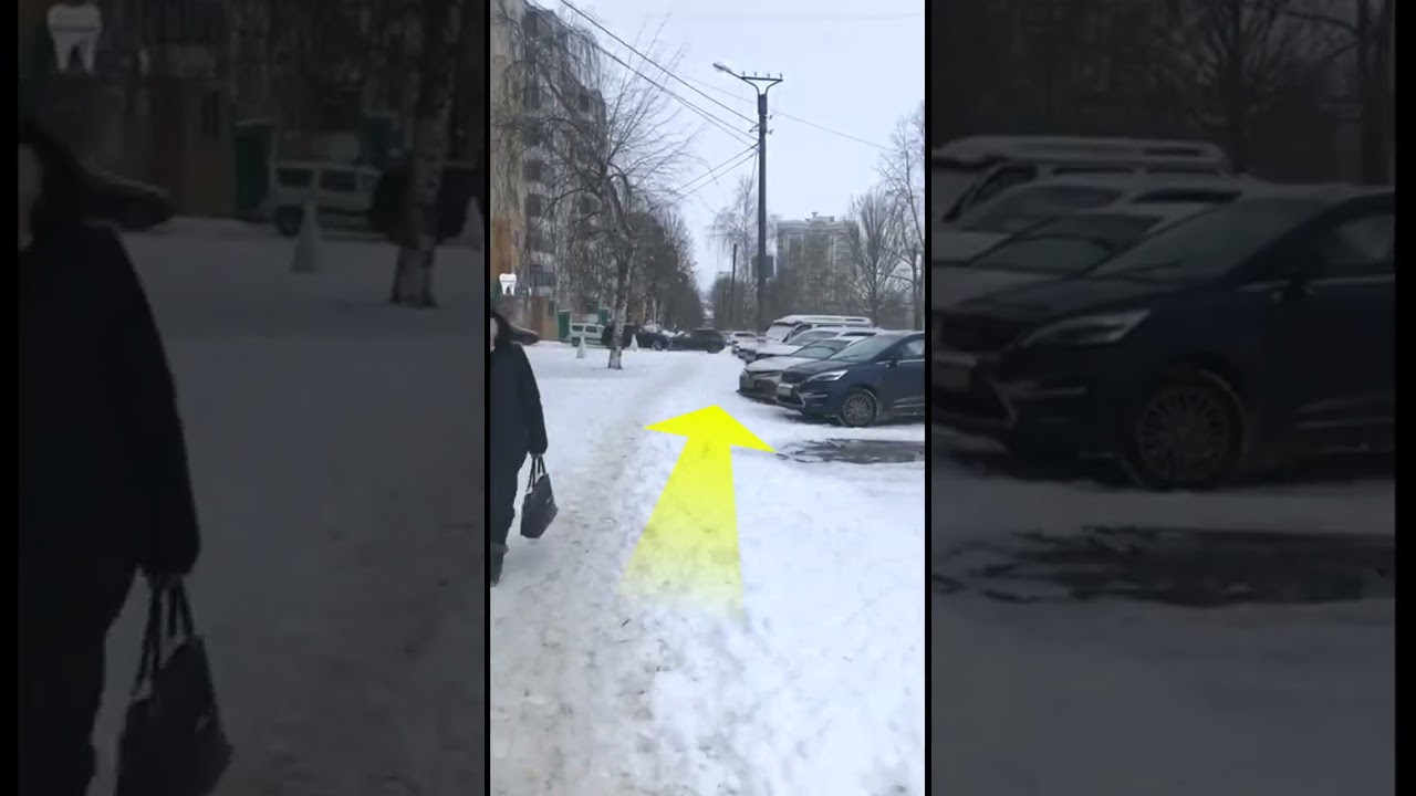 Контакты | ООО «Вега Дент»
