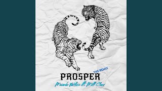 Prosper Remix (Remix) (feat. Matt Cleev) - Miranda Writes