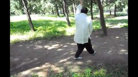 Liang BaGuaZhang Fixed Eight Palms Set