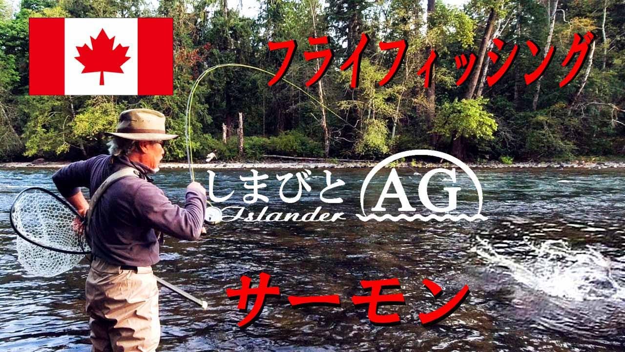 【カナダ田舎暮らし】フライフィッシングで狙うピンクサーモン、カナダ、キャンベルリバー。