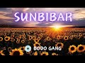 Sunbibar  rich tyson x ninza  young su em  official lyricalbodo gang new bodo song