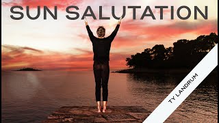 The dynamics of Sun Salutation | Surya Namaskara with Ty Landrum