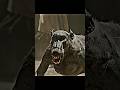 Angry Baboons👿 kill his Friends 🥺❤️ Ft. Tourner dans le vide #gladiator #shorts