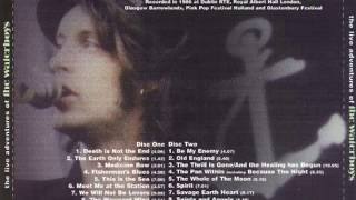 The Waterboys - Because the Night/Pan Within (Live) chords