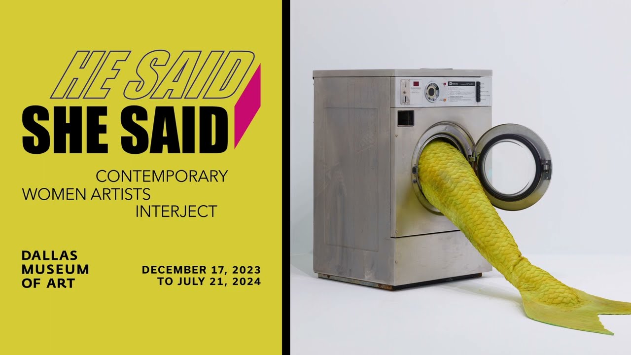 Teaser: "He Said/She Said: Contemporary Women Artists Interject"