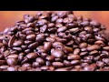 vídeos cortos sobre cafe para spot publicitarios hd sin copyright