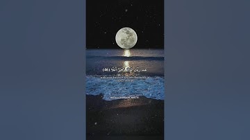 ( المال والبنون زينة الحياة الدنيا ) تلاوة مميزة للقارئ بدر التركي