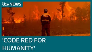 Climate change: Worlds largest scientific report code red for humanity | ITV News