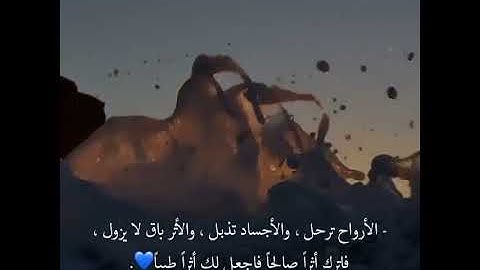 من سورة يس إسلام صبحي 🌠