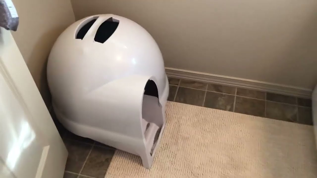 Petmate Booda Clean Step Cat Litter Box Dome Review