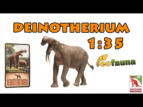 Vídeo: Quando o deinotherium viveu?