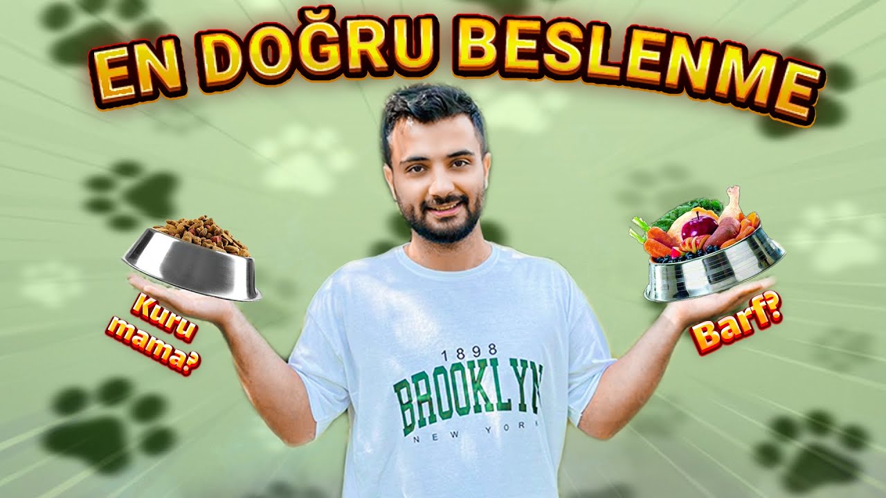 KÖPEKLERDE DOĞRU BESLENME NASIL OLUR?🐶