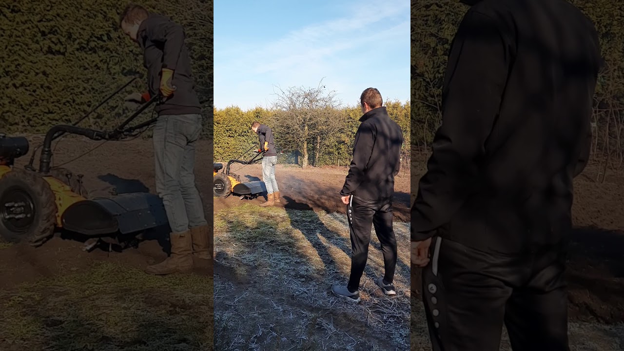 JRUS IRUS U1200k 1200K tuin frees 2wiel trekker agria bj 1960