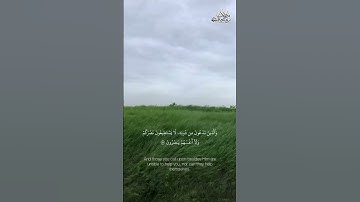 تلاوة خاشعة من سورة الأعراف بصوت #القارئ #الشيخ#علي_جابر #قرآن_كريم #تلاوة_خاشعة #quran