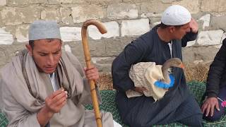 جابر سرق   وزة تفاحه ورد فعل الحاج مبروك  / هتضحك من قلبك