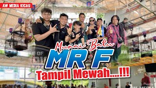Terlihat Mewah Murai Batu Mr F Memenangkan Juara 1 Di Battle Of Chdanion Masterpiece
