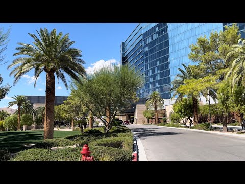 Roulette w/ @ChicoTwins Roulette KING at The Plaza Hotel Casino Las Vegas PT 2! High Limit