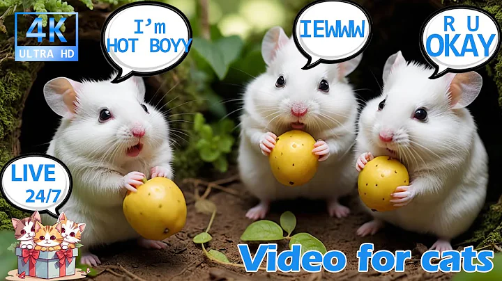 Watch the video about 🔴 24/7 LIVE CAT TV NO ADS 😺 Funny White Mice Eating and Playing in Cozy Forest – CAT TV