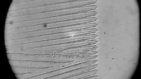 A more cellular solidification front