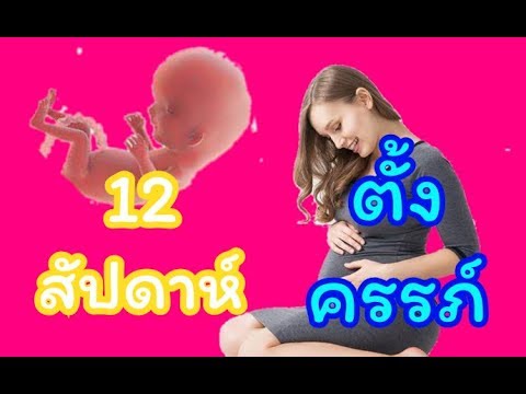 วีดีโอ: การพัฒนาเด็กเล็กอายุ 12 สัปดาห์