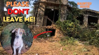 Abandon Puppy Was Crying Alone in Haunted House - What happens Next Will Shock You 🥺