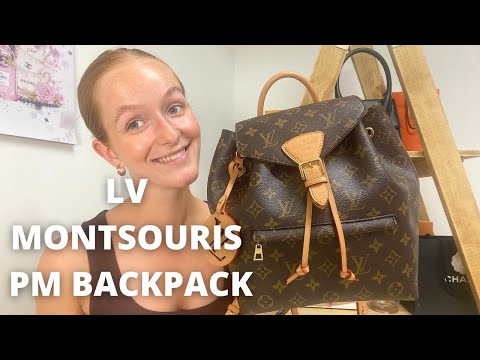 Bag Organizer for LV Montsouris PM Backpack (New  