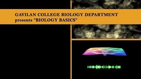 Biology Basics - Compound Microscope: Basic Care & Parts