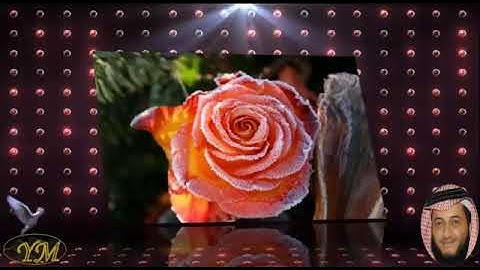 49 سورة الحجرات كاملة للقارئ الشيخ هاني الرفاعي