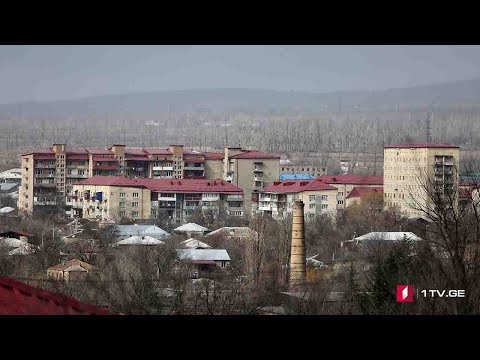 ვაჟა გაფრინდაშვილი კვლავ ოკუპანტების ტყვეობაში რჩება