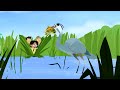 Wild kratts  blue heron  full episode in english  kratts series