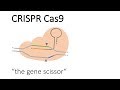 CRISPR-Cas9 Gene Editing Quiz