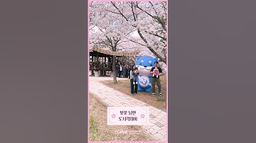 #DGIST #CherryBlossomWeek