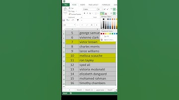 format painter in excel | excel