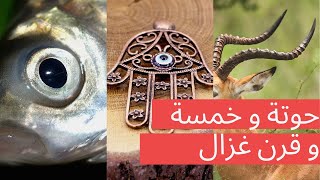 خرافة حوتة وخمسة وقرن غزال + حكايات تونس