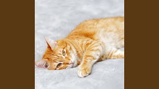 Zen Meowments Harmony Journey