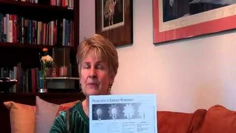 Transference & Countertransference