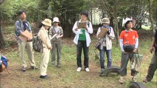 大阪自然環境保全協会のご紹介（３）さまざまな自然に親しむ