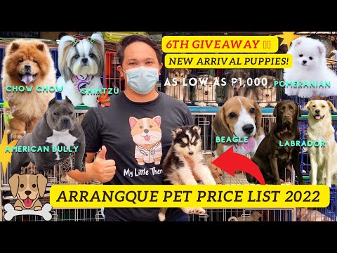 Giveaway!! Bagsak Presyong Mga Aso Sa Arrangque Pet Shop | Clearance Sale!