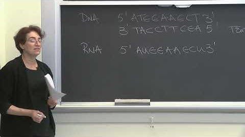 Lecture 3.5: Information Transfer in Biology  — Conclusion