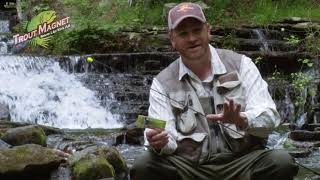 Trout Cranks - TROUT MAGNET