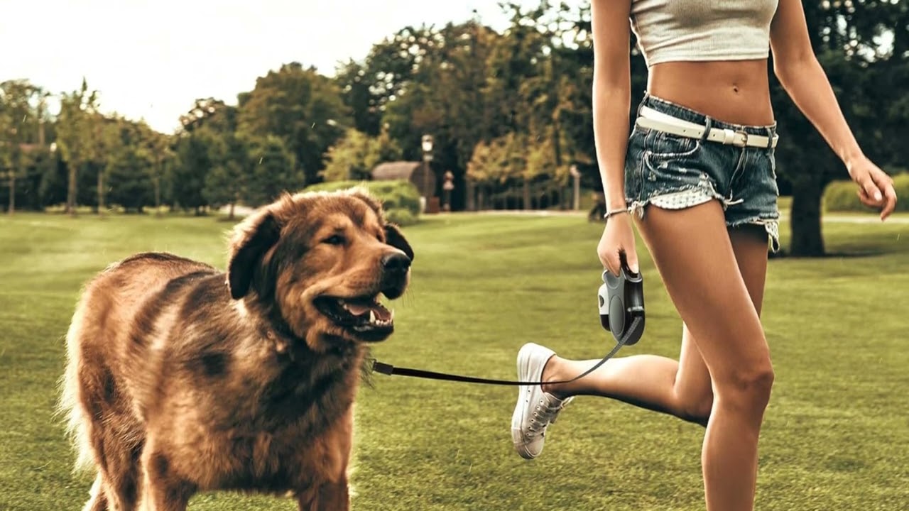 Retractable Dog Leash 16 ft 🐶🌟 | Strong, Reflective & Dispenser Included!