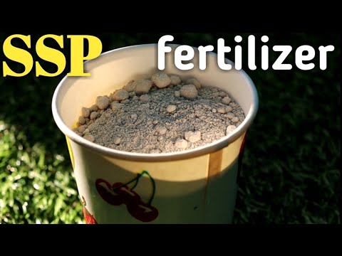 Video: Superphosphate And How To Use It In The Garden