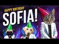 Happy Birthday Sofia It S Time To Dance 